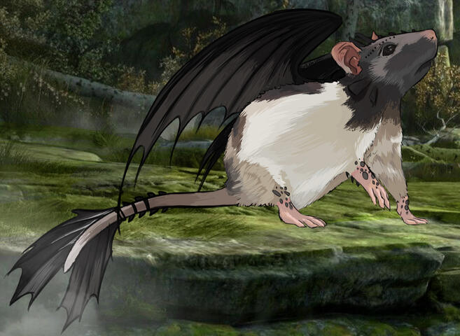 Pet Rat Commission